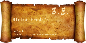 Bleier Ernák névjegykártya